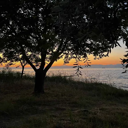 Jason Holidays 아파트 *